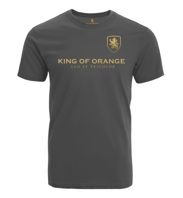 Sport t-shirt grey